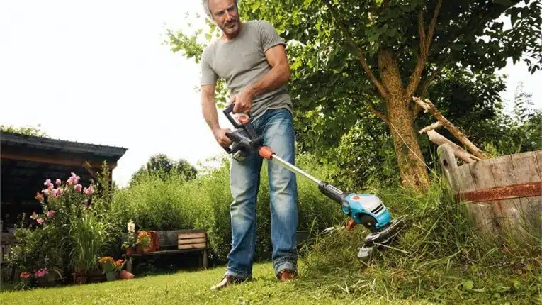 Comment bien délimiter les bordures de votre pelouse ?